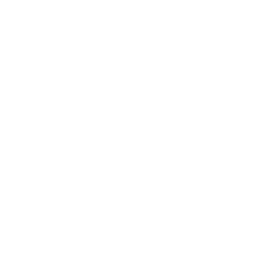 diritto d'impresa